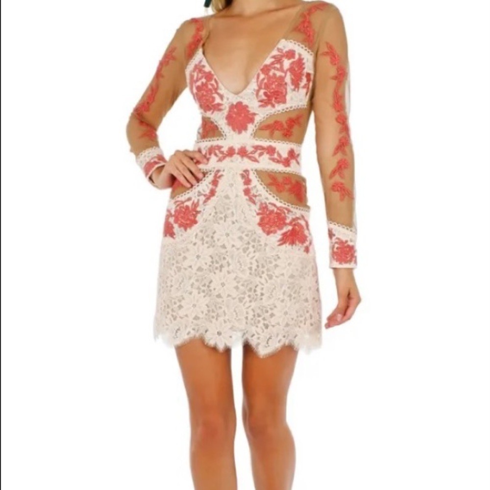 Love and Lemons Matador Tulle Dress!